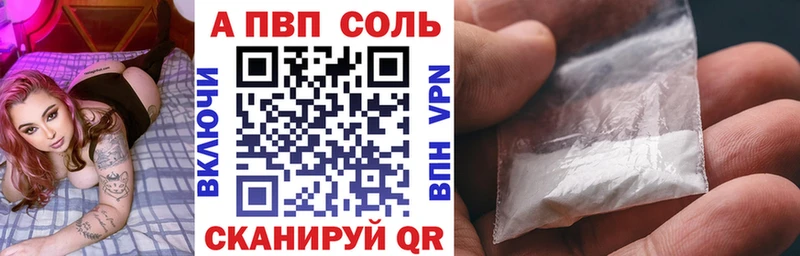 A PVP СК  Приморск 
