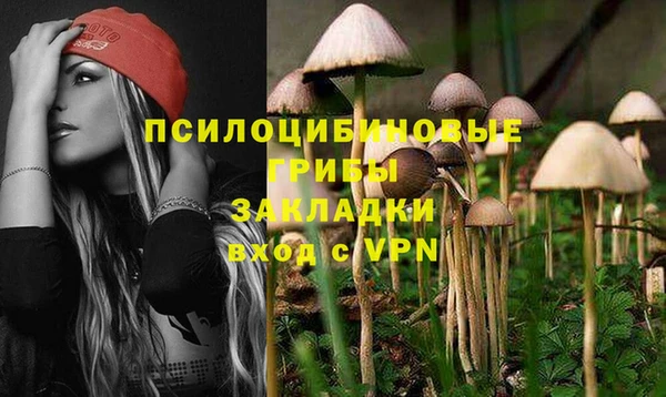 прущая мука Алексин