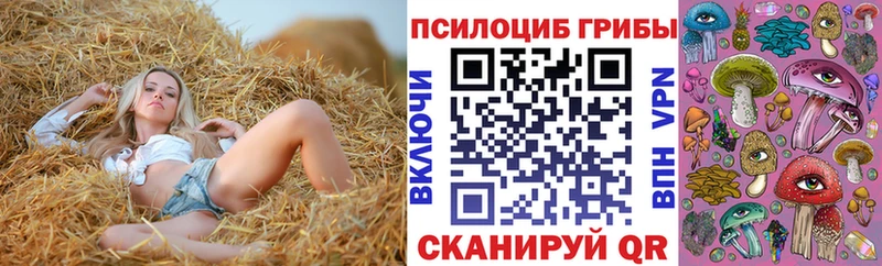 блэк спрут онион  Приморск  Галлюциногенные грибы Magic Shrooms 